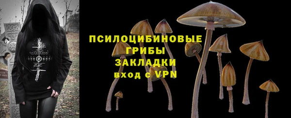 ГАЛЛЮЦИНОГЕННЫЕ ГРИБЫ Алзамай