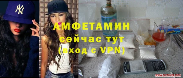 ГАЛЛЮЦИНОГЕННЫЕ ГРИБЫ Алзамай