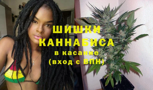 ГАЛЛЮЦИНОГЕННЫЕ ГРИБЫ Алзамай