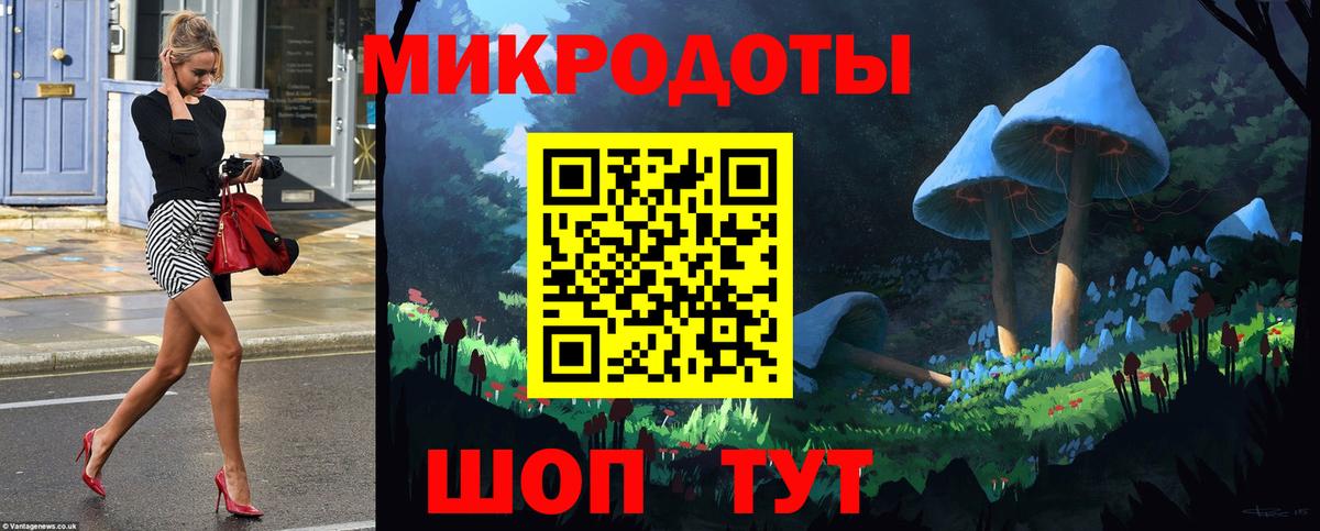 Галлюциногенные грибы Cubensis Осинники