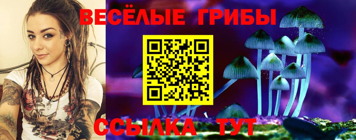 Осинники  Псилоцибиновые грибы Magic Shrooms  Галлюциногенные грибы мухоморы  Вход с VPN 